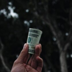 Navigating a Recession: A Survival Guide for Small Scale Startups